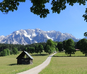 Alpy Salzburskie, Góry Dachstein, Austria, Drzewa, Szopa, Styria, Droga
