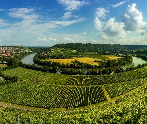 Pola, Rzeka Neckar, Uprawy, Droga, Powiat Ludwigsburg, Winnice, Niemcy, Mundelsheim