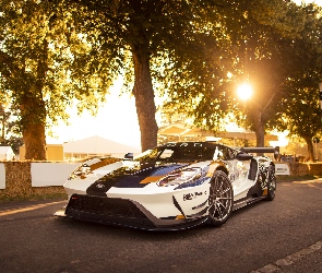 Ford GT40 Mark II, Rajdowy