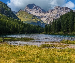 Chmury, Trawa, Las, Góry, Drzewa, Jezioro