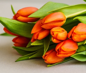 Tulipany, Pomarańczowe, Kwiaty, Bukiet