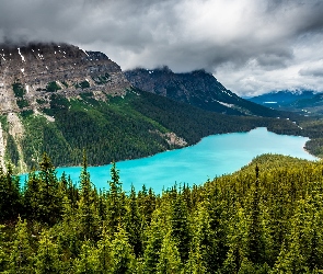 Kanada, Lasy, Drzewa, Prowincja Alberta, Peyto Lake, Jezioro, Góry, Skały, Park Narodowy Banff, Chmury