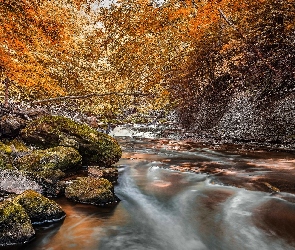 Rzeka, Kamienie, Jesień, Las, Drzewa, Skały