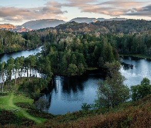 Wzgórza, Anglia, Jezioro Tarn Hows, Lasy, Park Narodowy Lake District