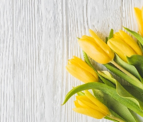 Żółte, Deski, Tulipany