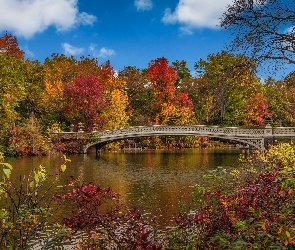 Nowy Jork, Drzewa, Jesień, Central Park, Most, Manhattan, Stany Zjednoczone, Jezioro