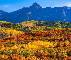 Przełęcz, Jesień, San Juan Mountains, Góry, Stany Zjednoczone, Drzewa, Lasy, Kolorado, Dallas Divide
