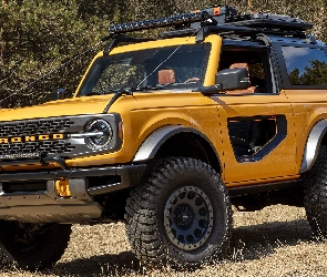 Ford Bronco, Żółty