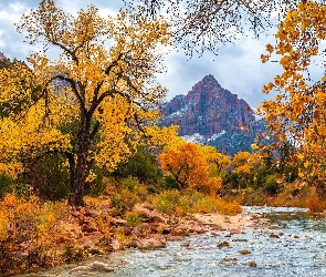 Park Narodowy Zion, Stan Utah, Drzewa, Stany Zjednoczone, Jesień, Kamienie, Góra Watchman, Rzeka, Virgin River
