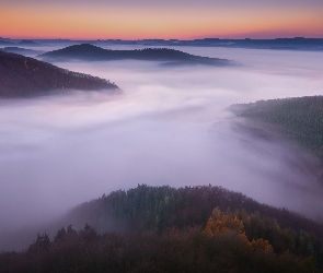 Sulov, Słowacja, Lasy, Mgła, Chmury, Góry