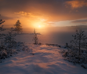 Drzewa, Śnieg, Ringerike, Jezioro, Zachód słońca, Norwegia, Zima