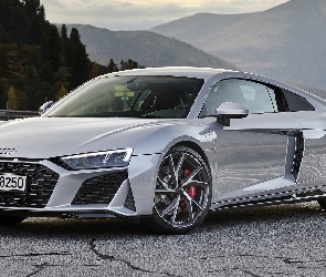Srebrne, Audi R8 Coupe