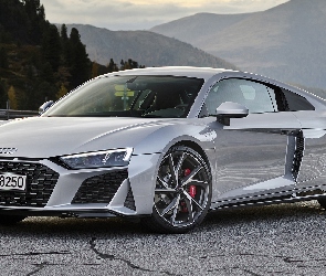 Audi R8 Coupe, Srebrne