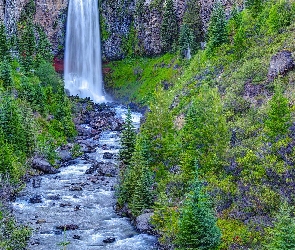 Rzeka, Skały, Tumalo Falls, Wodospad, Stany Zjednoczone, Las, Drzewa, Stan Oregon, Tumalo Creek