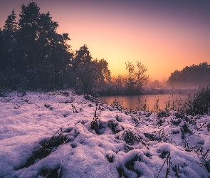 Wschód słońca, Drzewa, Śnieg, Zima, Jezioro, Trawa