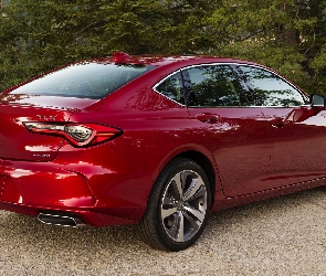 Acura TLX, 2021