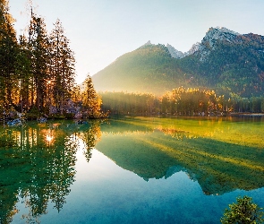 Niemcy, Wschód słońca, Drzewa, Jesień, Lasy, Alpy Bawarskie, Bawaria, Jezioro Hintersee, Góry