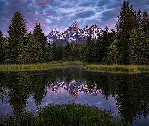 Snake River, Las, Stany Zjednoczone, Teton Range, Drzewa, Odbicie, Stan Wyoming, Chmury, Rzeka, Park Narodowy Grand Teton, Góry