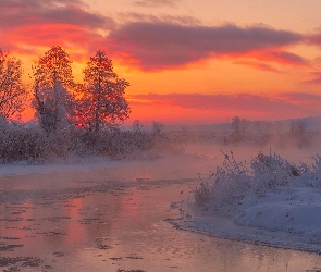 Rzeka Gwda, Drzewa, Zima, Śnieg, Wschód słońca, Mgła, Polska, Krzaki