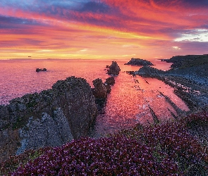 Skały, Plaża Arnia, Hiszpania, Morze, Wybrzeże Costa Quebrada, Kantabria, Wschód słońca