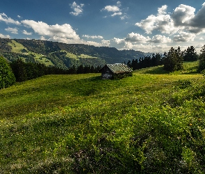 Lasy, Wzgórze, Chmury, Łąka, Trawa, Dom, Drzewa