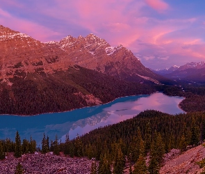 Drzewa, Jezioro Peyto Lake, Park Narodowy Banff, Kanada, Chmury, Góry, Alberta, Skały