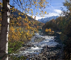 Rzeka, Góry, Jesień, Drzewa, Dolina Aosty, Most, Włochy, Park Narodowy Gran Paradiso