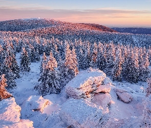 Zima, Góry, Wschód słońca, Drzewa, Skały, Ośnieżone