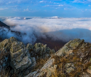 Skały, Rośliny, Mgła, Góry