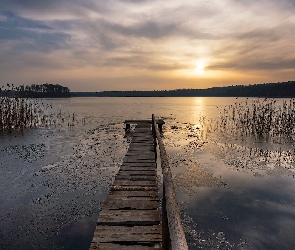 Jezioro, Trawy, Pomost, Zachód słońca