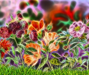 Różnobarwne, Fractalius, Kwiaty
