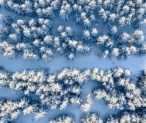 Śnieg, Z lotu ptaka, Narciarz, Zima, Las