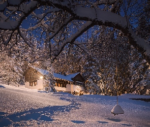 Zima, Dom, Drzewa, Oświetlony, Śnieg