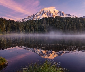 Odbicie, Jezioro, Góra, Las, Bench Lake, Stany Zjednoczone, Stratowulkan Munt Rainier, Stan Waszyngton, Mgła, Park Narodowy Mount Rainier, Drzewa