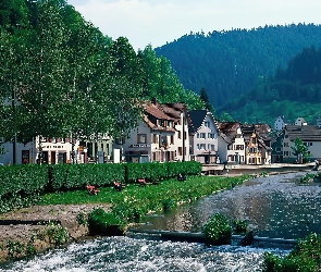 Rzeka, Niemcy