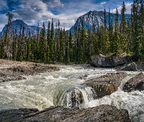 Kanada, Rzeka, Drzewa, Kicking Horse River, Park Narodowy Yoho, Zielone, Chmury, Skały, Kolumbia Brytyjska, Góry Skaliste