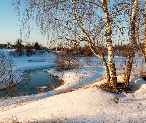 Rzeka, Brzozy, Drzewa, Śnieg, Zima