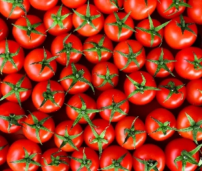 Pomidory, Dojrzałe, Czerwone