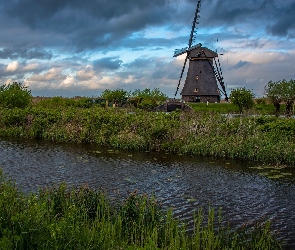 Holandia, Kinderdijk, Rzeka, Wiatrak, Trawa, Drzewa