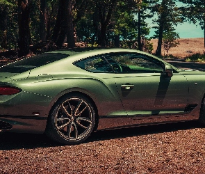 Zielony, Bentley Continental GT
