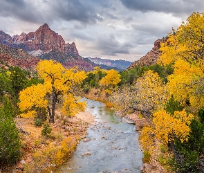 Jesień, Utah, Drzewa, Stany Zjednoczone, Park Narodowy Zion, Virgin River, Góry, Góra Watchman, Rzeka