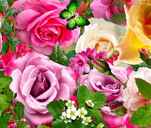 Kwiaty, 2D, Motyl, Mięta, Róże
