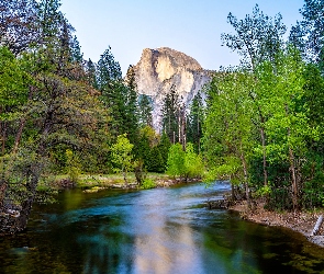 Stany Zjednocznone, Drzewa, Rzeka, Wiosna, Merced River, Szczyt Half Dome, Kalifornia, Park Narodowy Yosemite, Góry