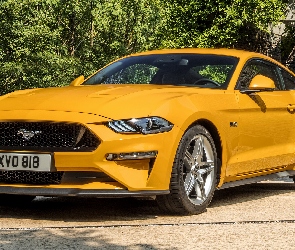 Ford Mustang GT, 2018, Żółty