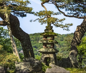 Kanazawa, Ogród Kenroku en, Sosny, Japonia, Latarnia, Drzewa, Kamienna