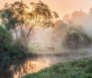 Rzeka, Drzewa, Wschód słońca, Mgła