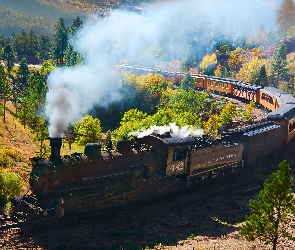 Pociąg, Drzewa, Lokomotywa parowa, Dym, Wagony