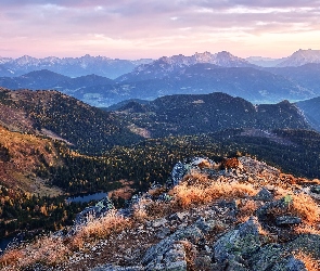 Góry, Kamienie, Skały, Austria, Trawa, Lasy, Rottenmanner und Wolzer Tauern, Niskie Taury, Jesień