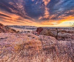 Skały, Park Red Rock, Stany Zjednoczone, Chmury, Krzewy, Kolorado, Wschód słońca