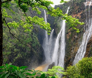 Waterfalls Jog, Stan Karnataka, Indie, Rośliny, Drzewa, Las, Skała, Wodospad Dźog